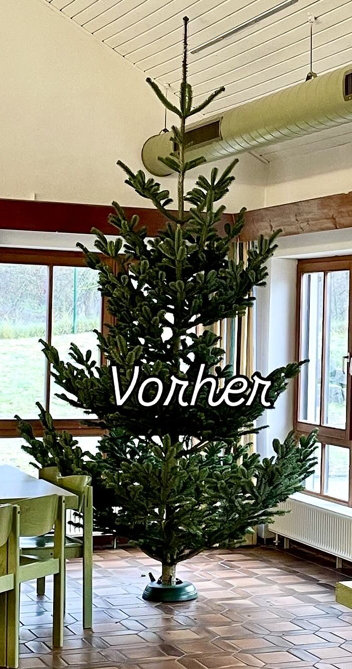 WEihnachtsbaum